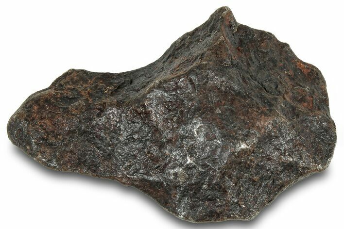 Canyon Diablo Iron Meteorite ( g) - Arizona #319625
